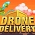 Drone Delivery